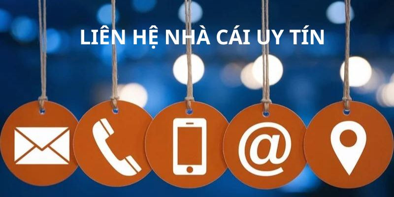 Tổng quan về 789club và lý do bạn nên liên hệ hỗ trợ